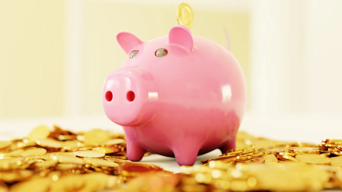 Pig