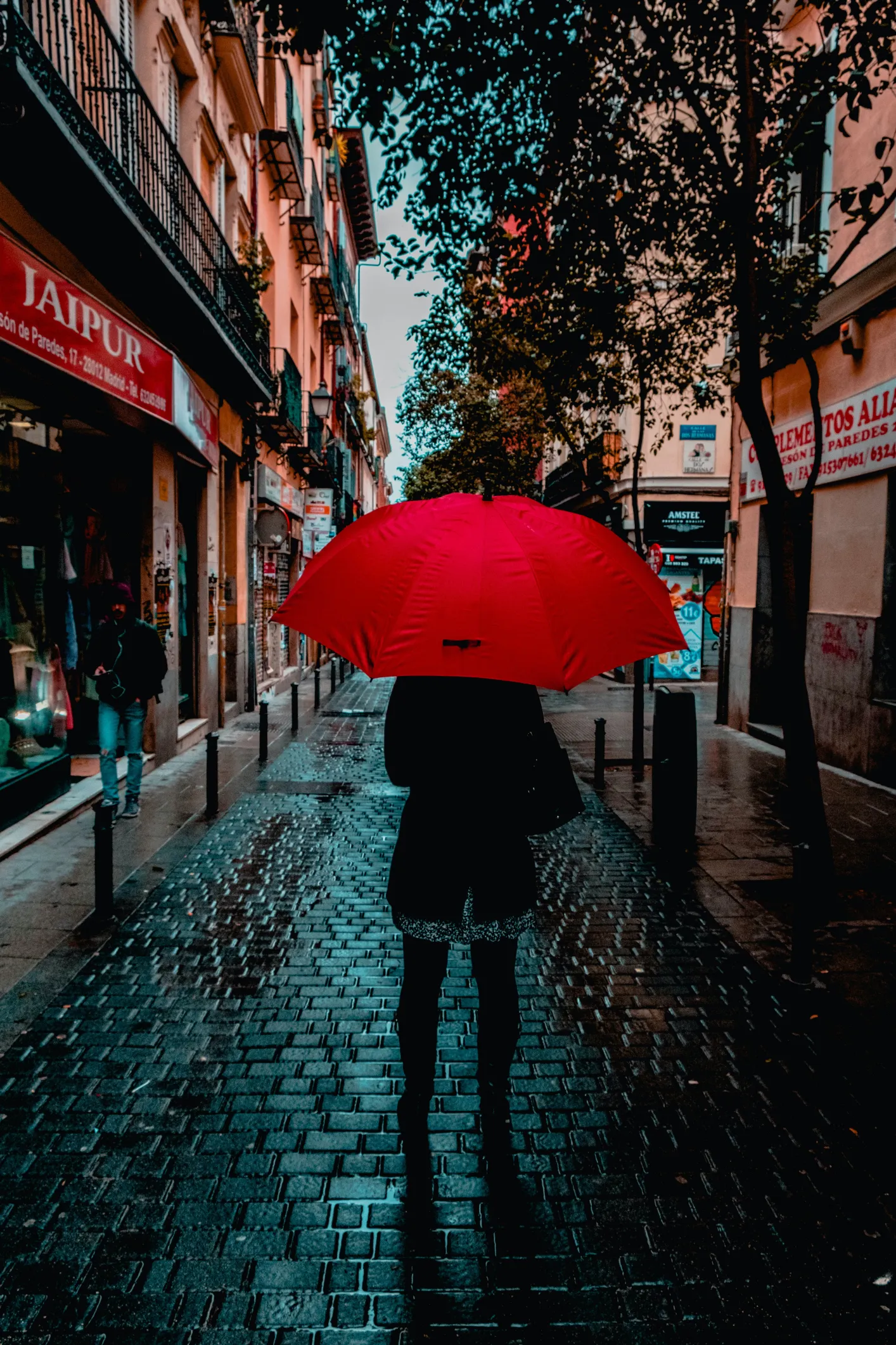 umbrella