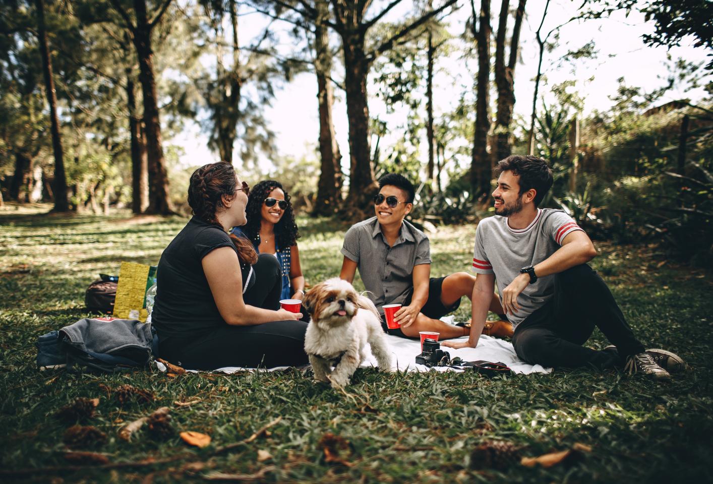 picnic in the park