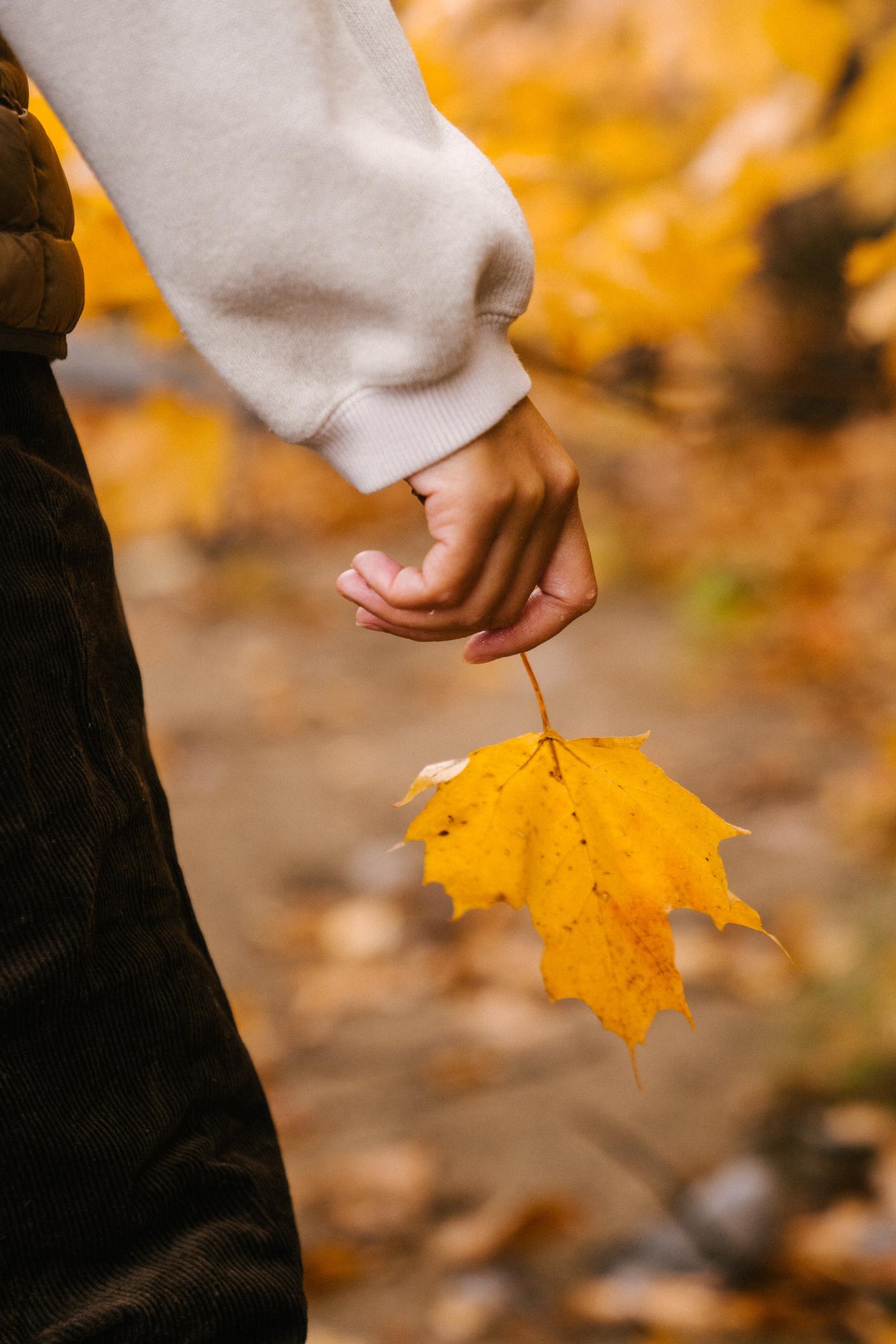 Outdoor October