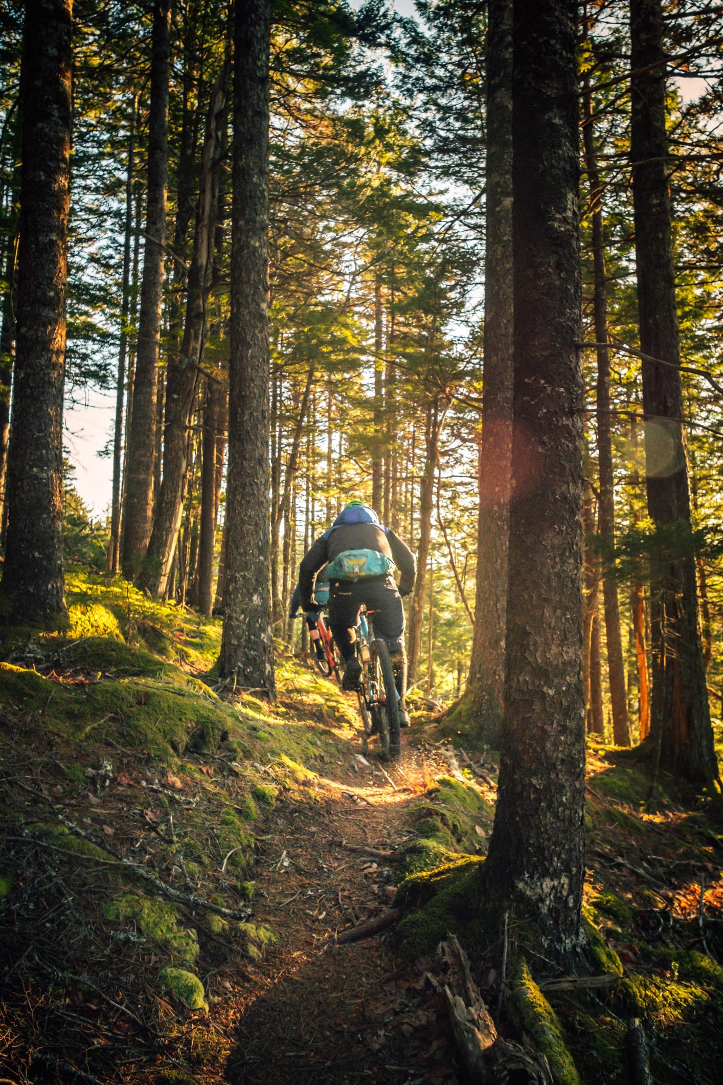 biking in woods